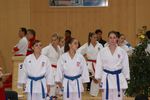 Karate Austrian Open 3139923