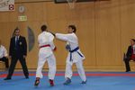 Karate Austrian Open 3139926