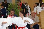 Karate Austrian Open 3139932