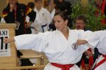 Karate Austrian Open 3139933