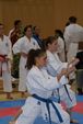 Karate Austrian Open 3139934