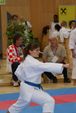 Karate Austrian Open 3139936