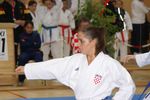 Karate Austrian Open 3139938