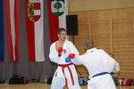 Karate Austrian Open 3139942