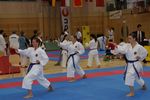 Karate Austrian Open 3139947