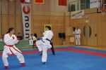 Karate Austrian Open 3139962