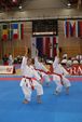 Karate Austrian Open 3139966