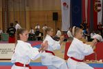 Karate Austrian Open 3139967