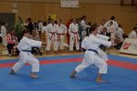 Karate Austrian Open 3139970