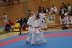 Karate Austrian Open 3139991