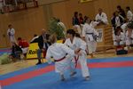 Karate Austrian Open 3139993