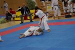 Karate Austrian Open 3139995