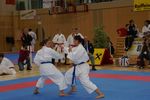 Karate Austrian Open 3140005