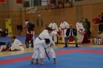 Karate Austrian Open 3140006