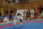 Karate Austrian Open 3140008