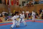 Karate Austrian Open 3140013