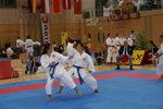 Karate Austrian Open 3140022