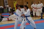 Karate Austrian Open 3140027