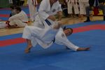 Karate Austrian Open 3140031