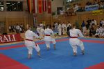 Karate Austrian Open 3140038