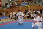 Karate Austrian Open 3140046