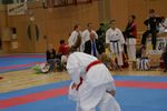 Karate Austrian Open 3140051