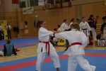 Karate Austrian Open 3140056