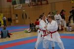 Karate Austrian Open 3140067