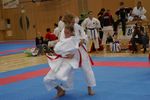 Karate Austrian Open 3140069