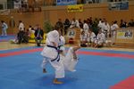 Karate Austrian Open 3140073