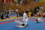 Karate Austrian Open 3140075