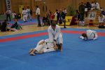 Karate Austrian Open 3140076