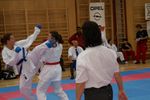 Karate Austrian Open 3140079