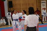 Karate Austrian Open 3140080