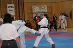 Karate Austrian Open 3140083