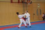 Karate Austrian Open 3140100