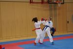 Karate Austrian Open 3140101