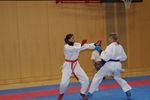 Karate Austrian Open 3140106