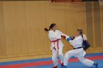 Karate Austrian Open 3140107