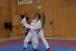 Karate Austrian Open 3140110