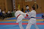 Karate Austrian Open 3140114