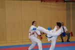 Karate Austrian Open 3140119