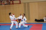 Karate Austrian Open 3140120