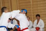 Karate Austrian Open 3140124