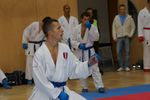 Karate Austrian Open 3140128