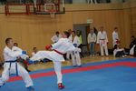 Karate Austrian Open 3140129