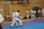 Karate Austrian Open 3140130