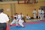 Karate Austrian Open 3140131