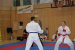 Karate Austrian Open 3140133