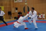 Karate Austrian Open 3140136